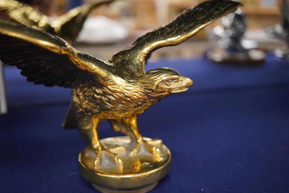 Two brass car mascots in the form of eagles, one mounted on a threaded radiator cap, the other mounted on a wooden base, the larger with a wingspan of 31cm. Condition - fair, one eagle with bent wing.